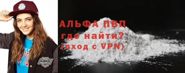 тгк Ельня