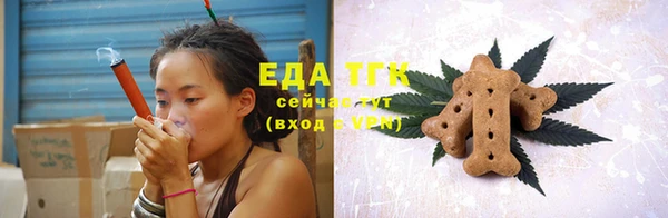 тгк Ельня