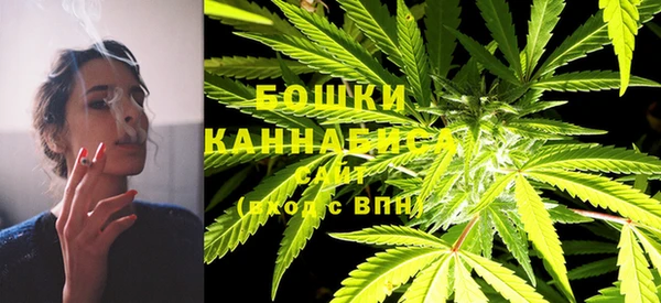 PSILOCYBIN Елизово