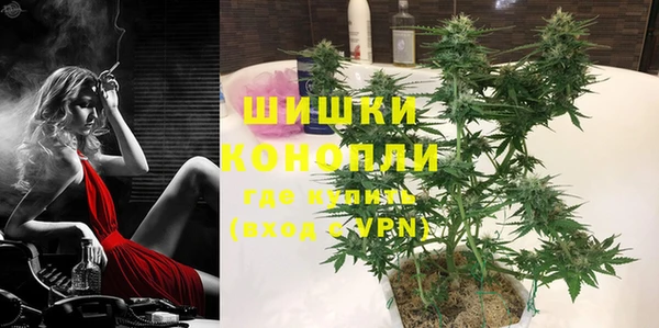 тгк Ельня