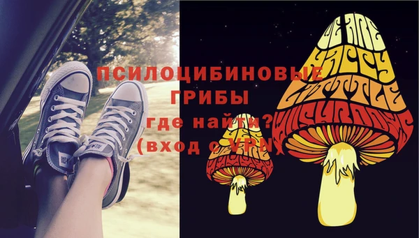 PSILOCYBIN Елизово