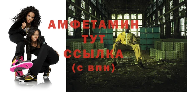 тгк Ельня