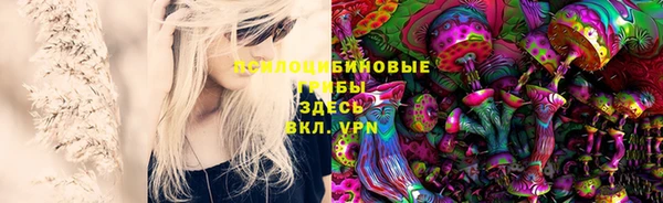 тгк Ельня