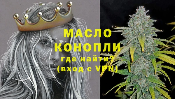 тгк Ельня