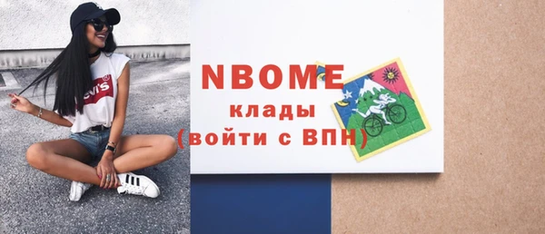 тгк Ельня