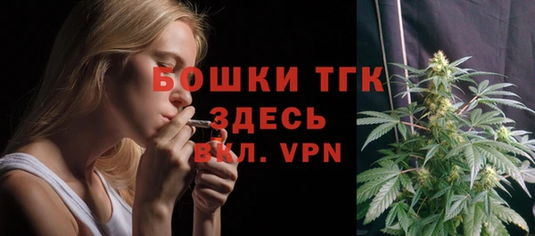 тгк Ельня
